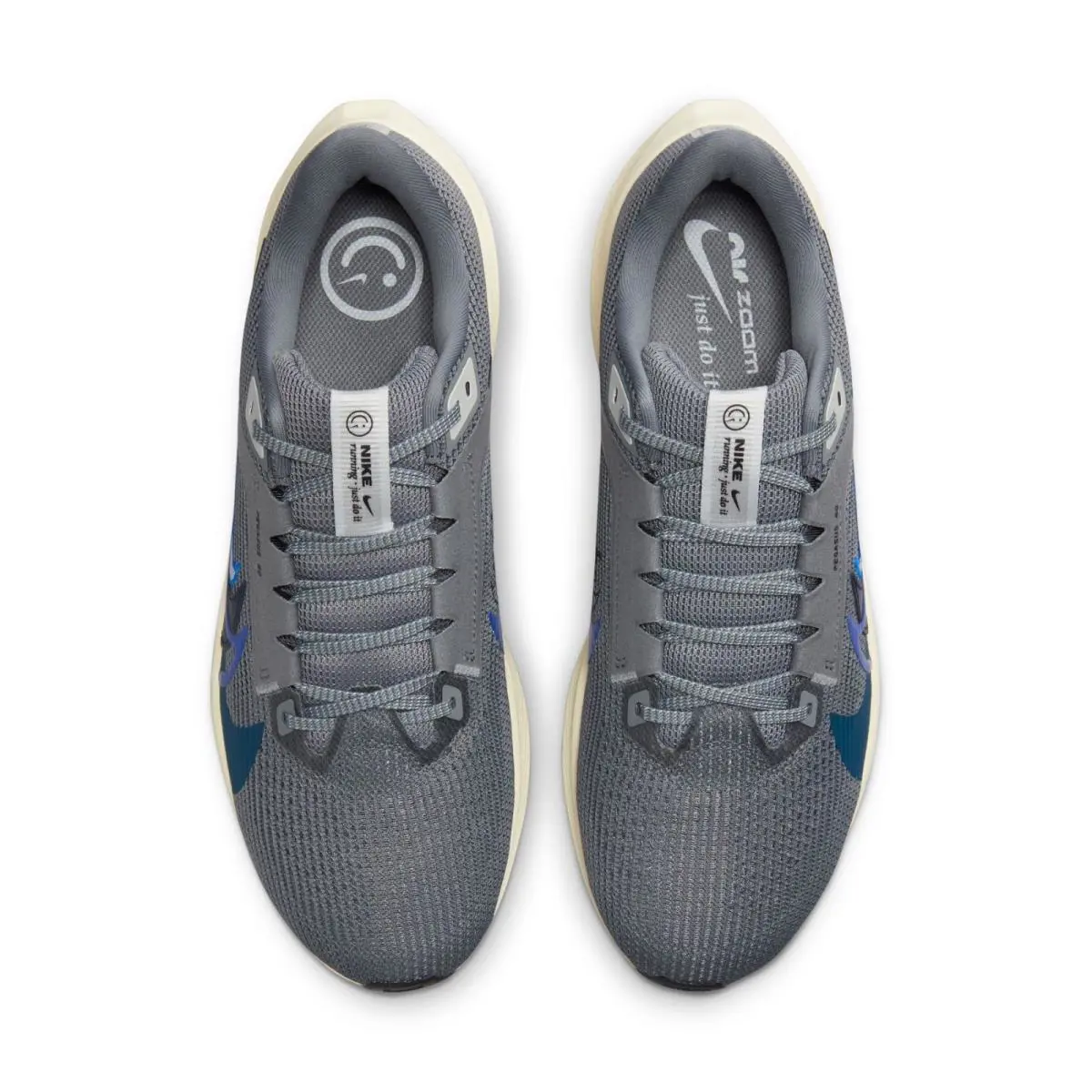 Nike shoes - Nike Air Zoom Pegasus 40 - FB7179-002 - Gray 2