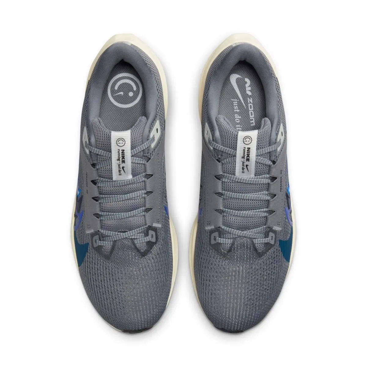 Nike shoes - Nike Air Zoom Pegasus 40 - FB7179-002 - Gray 9
