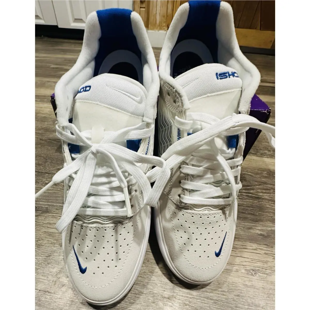 Nike shoes - Nike SB ISHOD - ISHOD - White 4