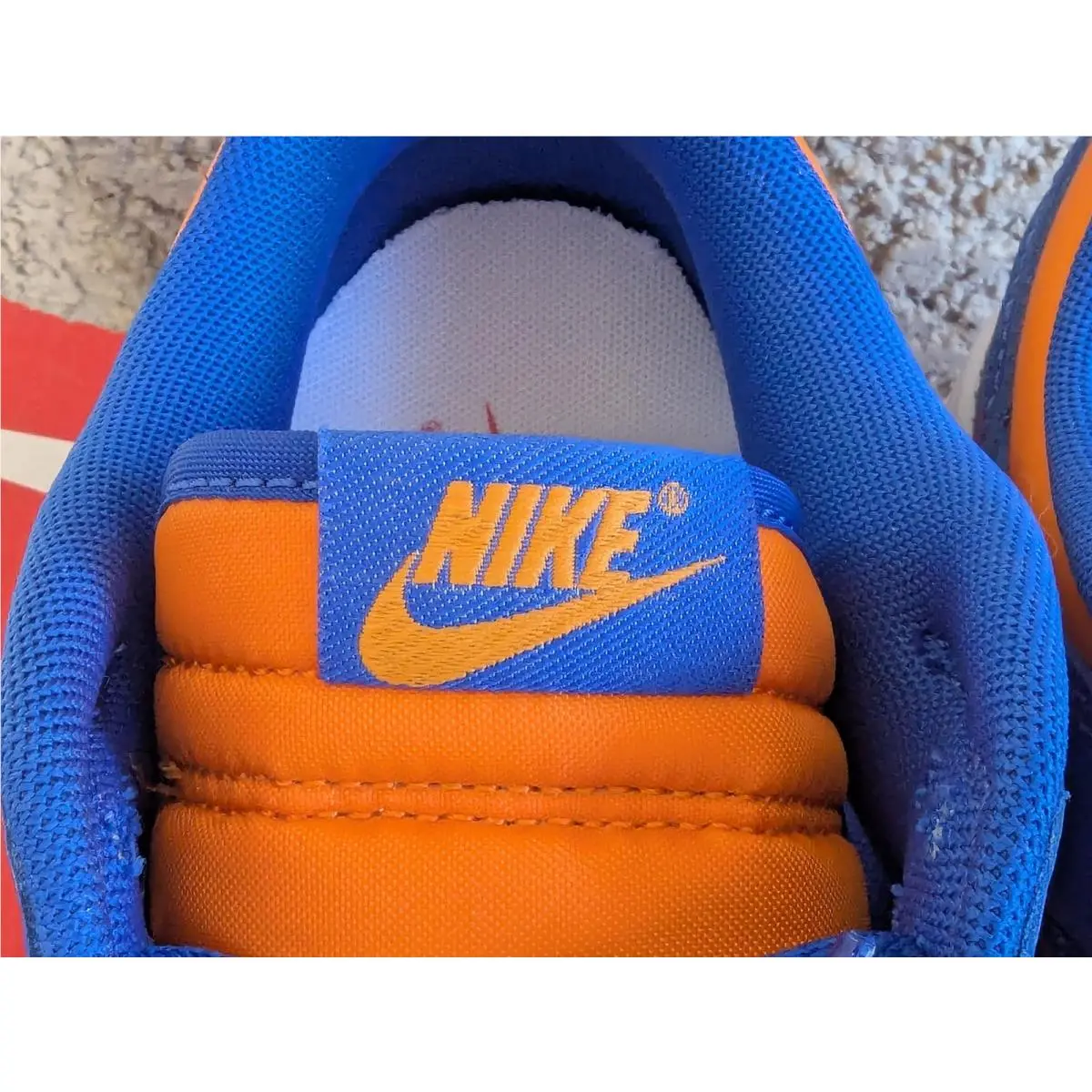 Nike shoes - Nike Dunk Low Retro - Dunk Low Retro - DV0833-800 - Blue 5