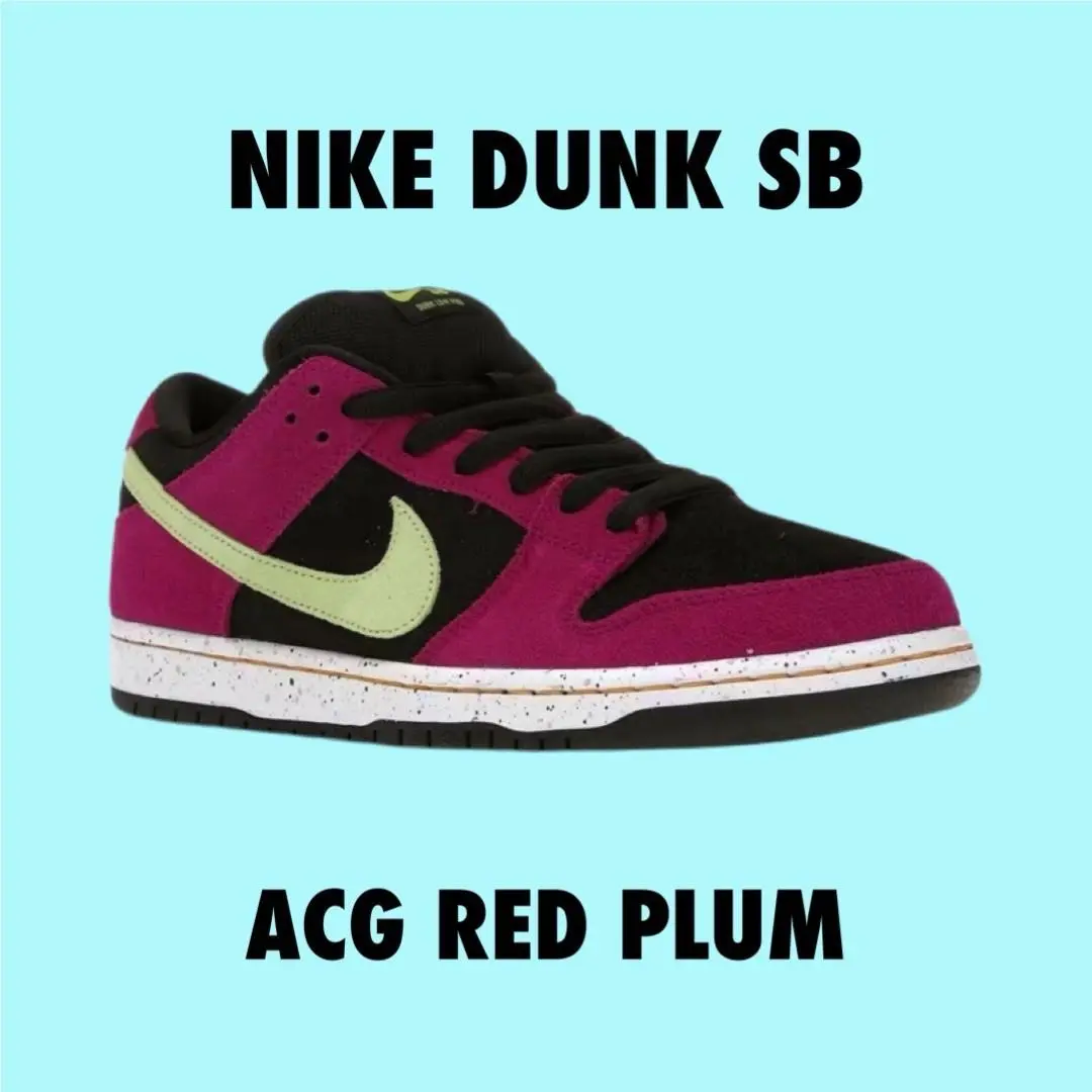 Nike SB Dunk Low Pro Acg Terra Red Plum Sz 10.5 BQ6817-501