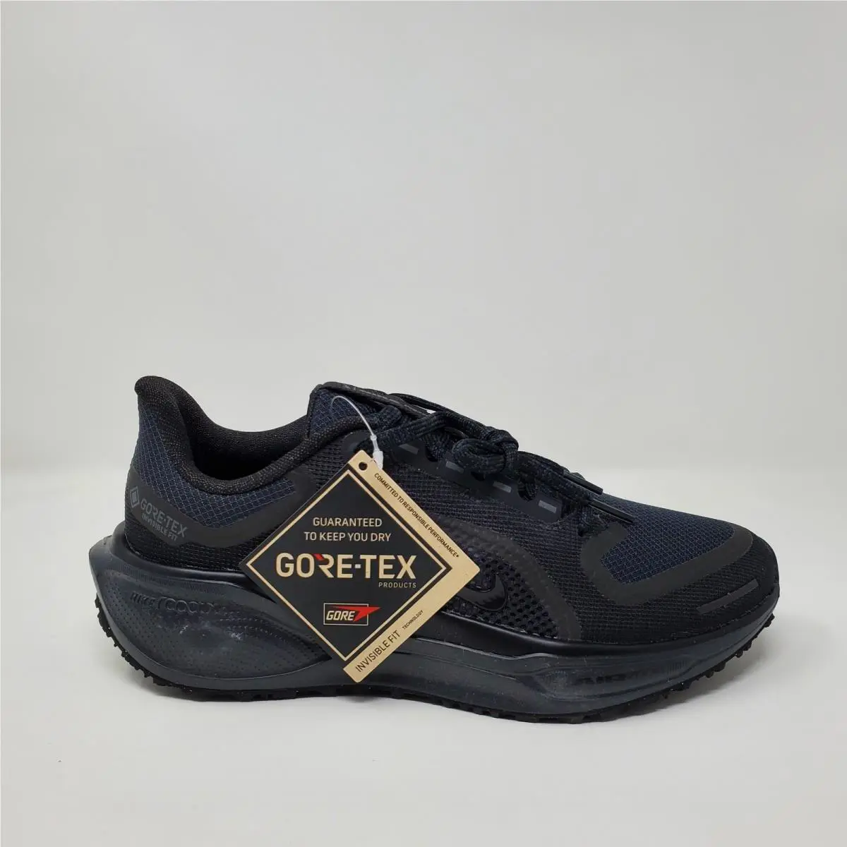 Nike shoes - Air Zoom Pegasus 41 GTX - FQ1357-001 - Black 2