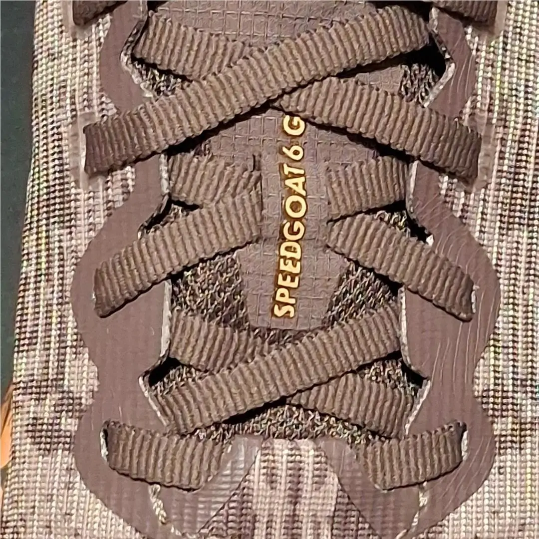 Hoka shoes - Hoka One One Speedgoat 6 GTX - 1155151-SZQ - Smoky Quartz / Quartize 9