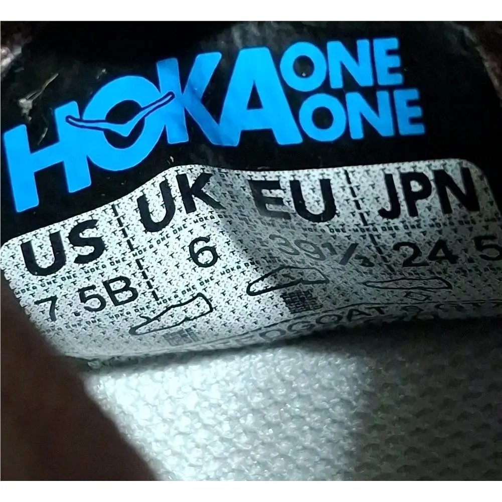 Hoka shoes - Hoka One One Speedgoat 6 GTX - 1155151-SZQ - Smoky Quartz / Quartize 14