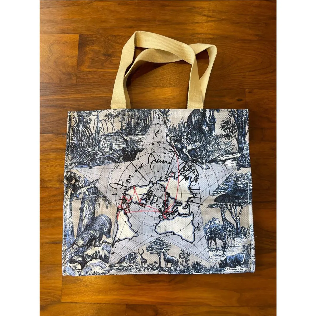 Dior Around The World Vip Tote Bag w/ Designer Logo Box Chez Dior