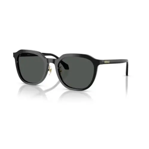 Versace VE4493D GB1/87 Black / Dark Grey Oval Women`s Sunglasses