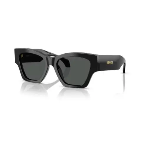 VE4492U GB1/87 Black /dark Grey Square Women`s Sunglasses by Versace