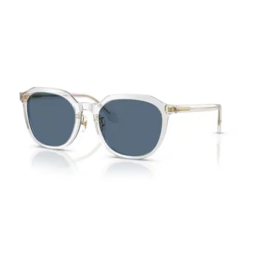 Versace VE4493D 551971 Transparent Grey / Dark Blue Oval Women`s Sunglasses