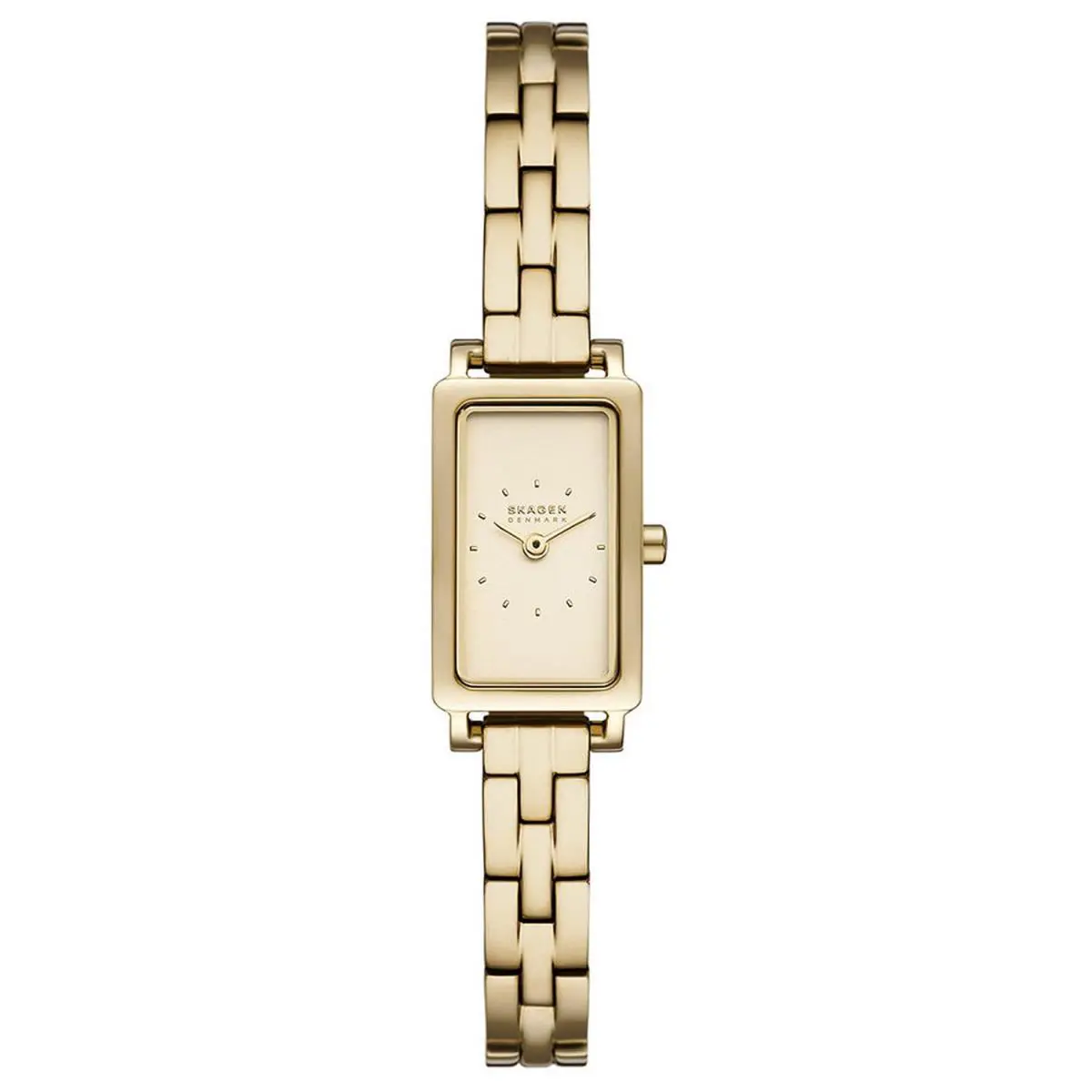 Skagen Hagen Micro Quartz Gold Dial Ladies Watch SKW3154