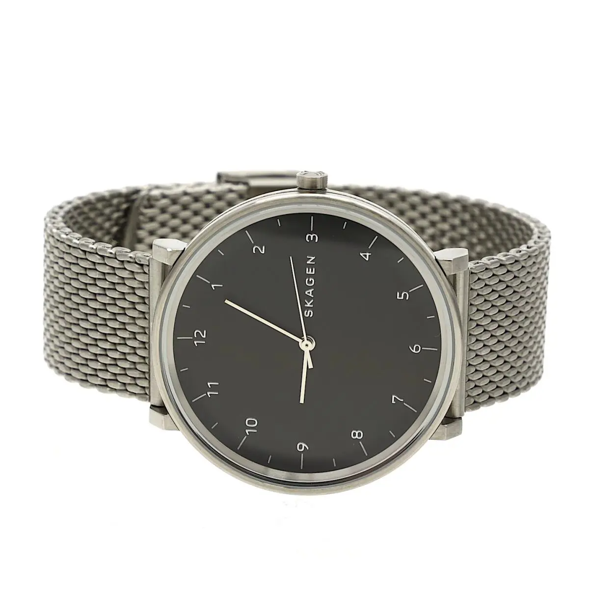 Skagen SKW6175 Men`s Hald Stainless Mesh Bracelet Watch 40mm F1281