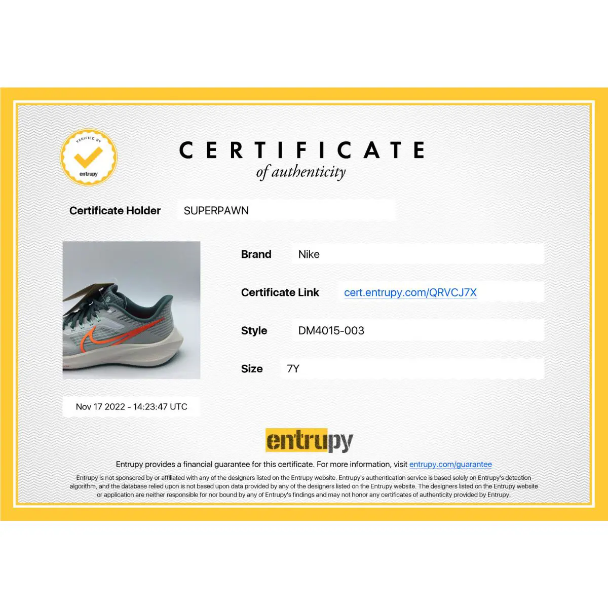 Nike shoes - Nike Air Zoom Pegasus 39 - DM4015 003 - Multicolor 13