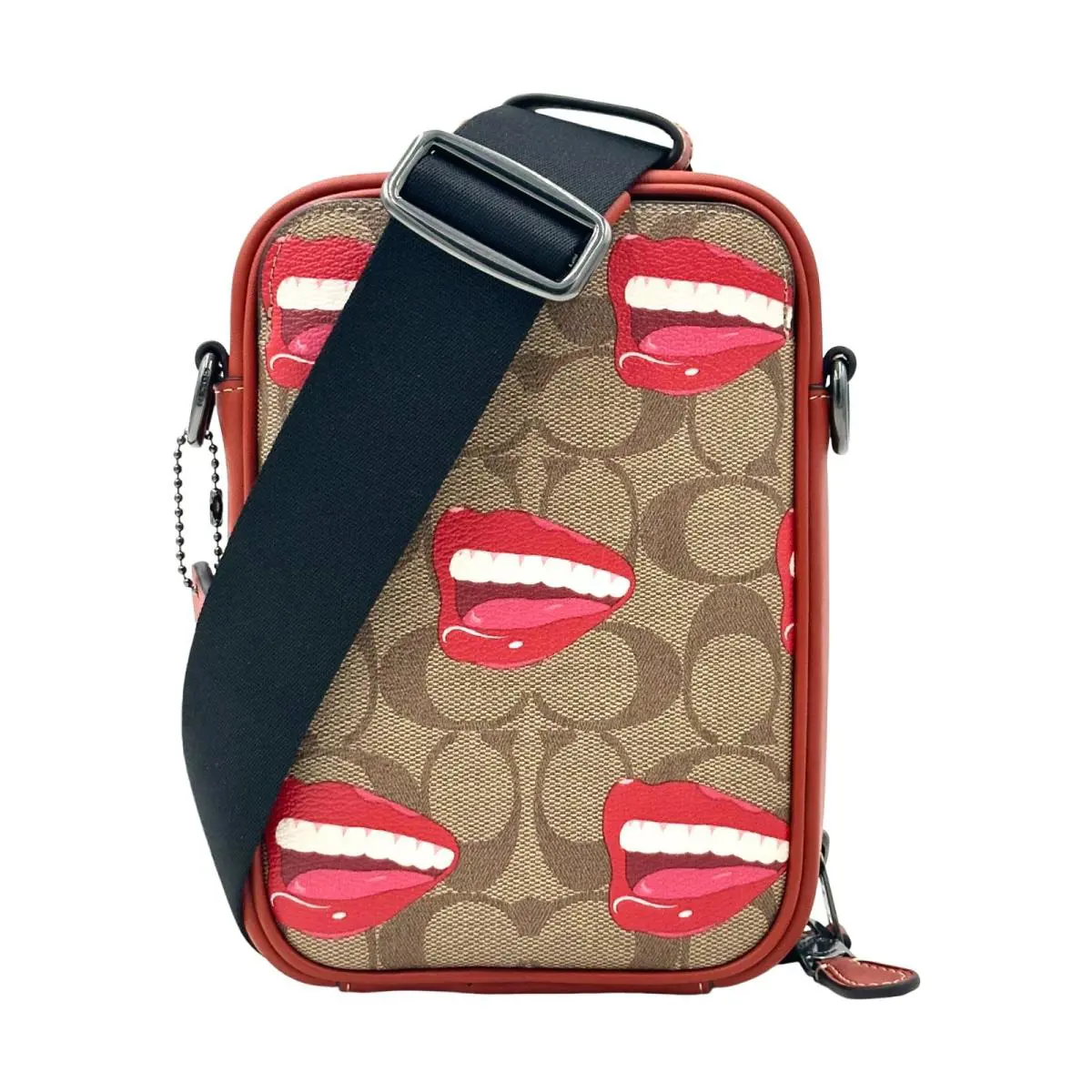 X Tom Wesselmann Stanton Crossbody In Signature Canvas - Brown Multi by Coach