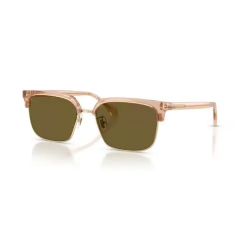 Versace VE4494D 551883Transparent Brown / Dark Brown Square Men`s Sunglasses