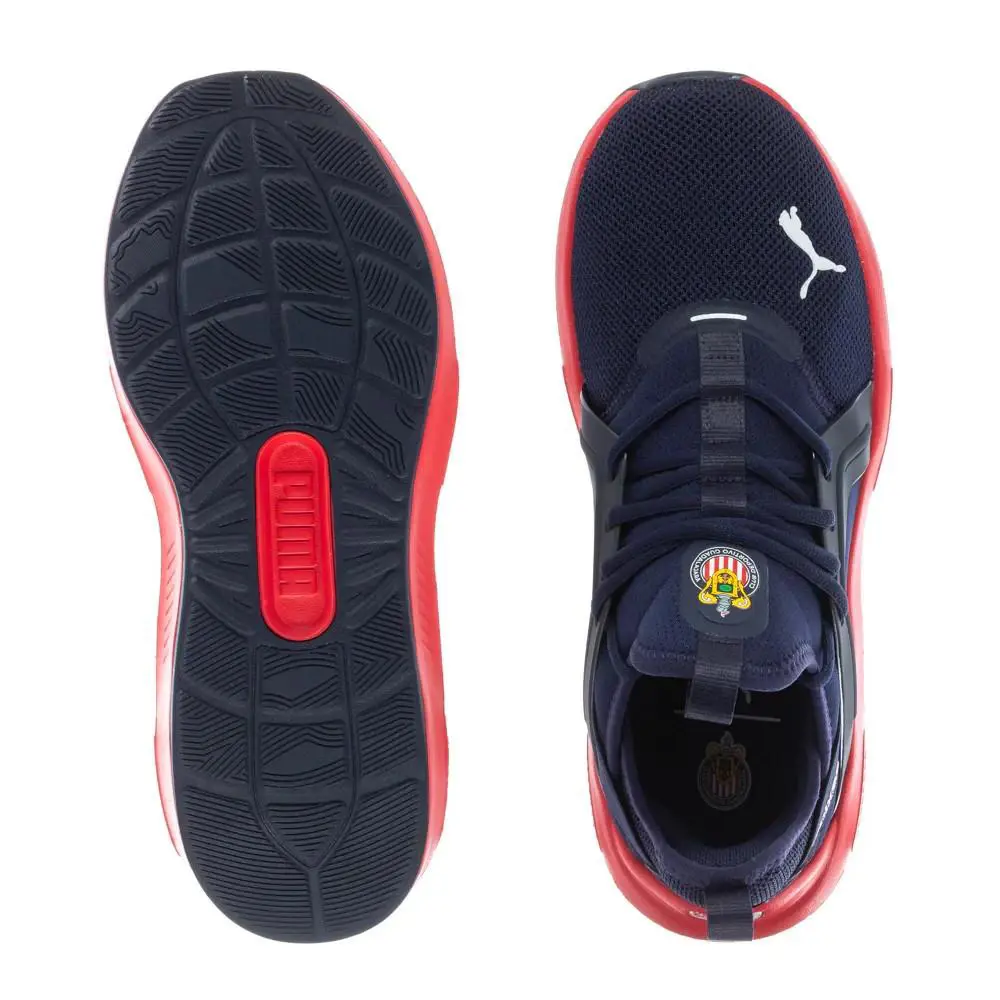Puma shoes - PUMA Softride Enzo - Softride Enzo - 313042-02 - Blue 0