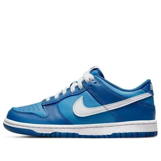 Nike Dunk Low GS Blue/white DH9765-400 Youth Size 4y - Blue