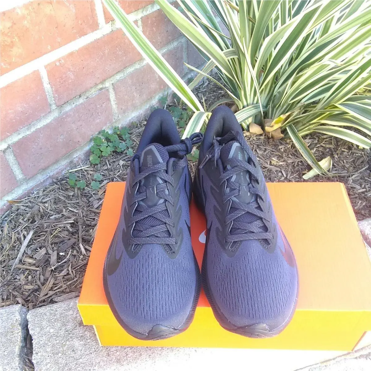 Nike shoes - Nike Zoom Winflo - Zoom Winflo - CJ0302 501 - Black (UPC: 193657888326) 0