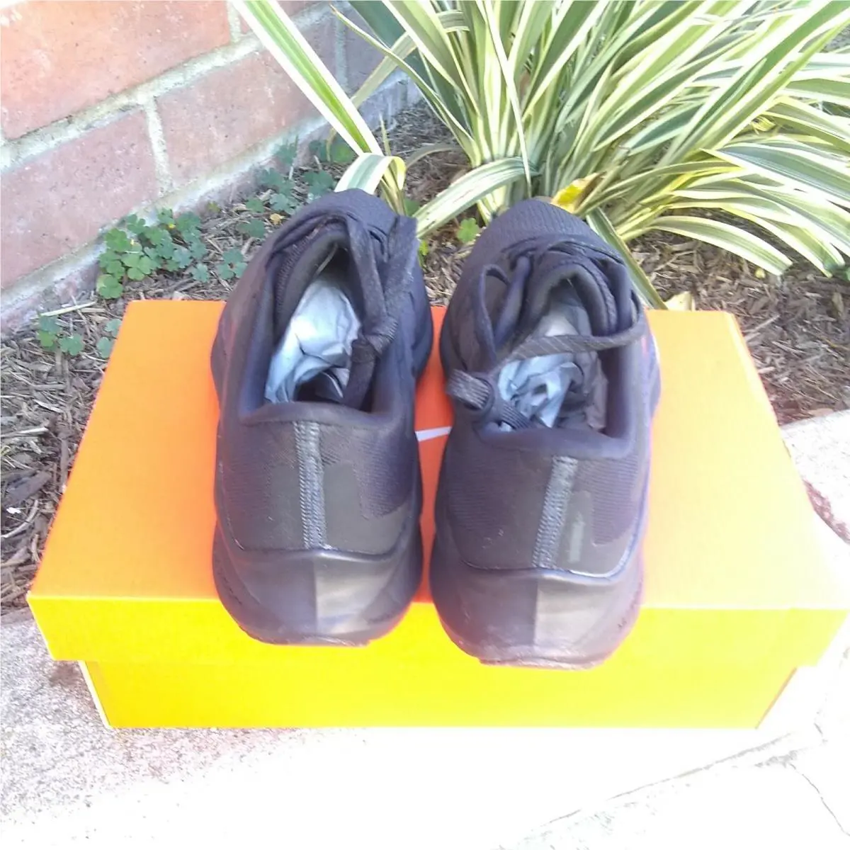 Nike shoes - Nike Zoom Winflo - Zoom Winflo - CJ0302 501 - Black (UPC: 193657888326) 1