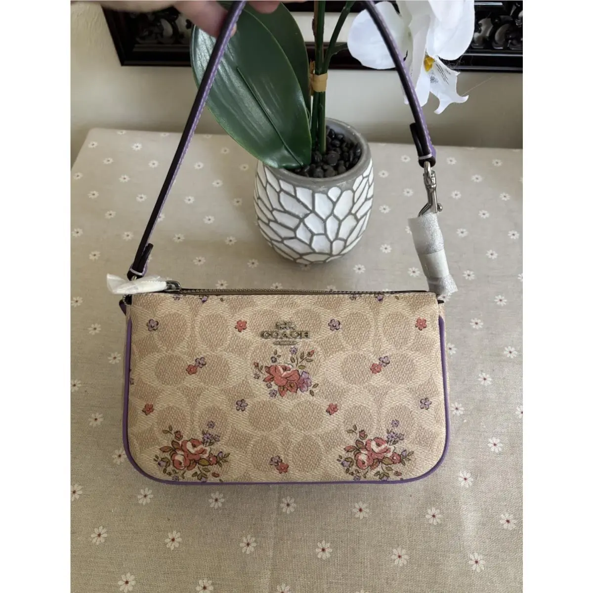 Nolita 19 with Signature Floral Print by Coach