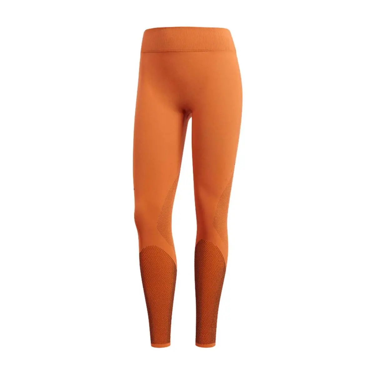 Women`s  Warp Knit Tight  Sport High Rise Leggings by Adidas