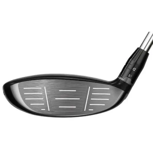 Callaway  - Big Bertha - Big Bertha - 4H220336L100 (UPC: 194518771276) 0