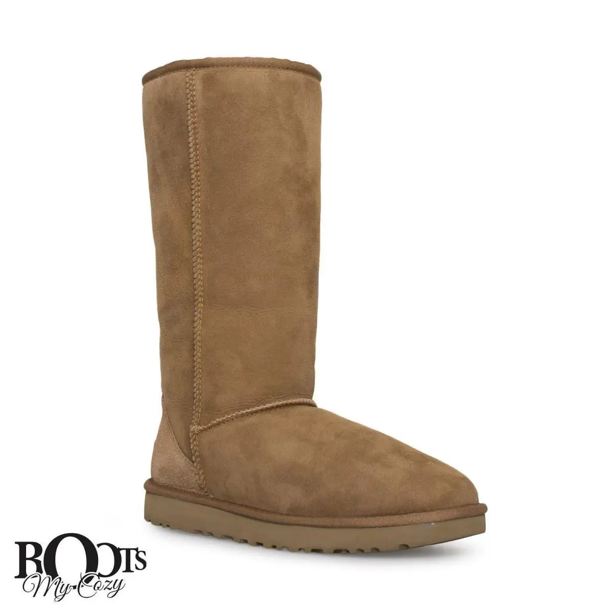 UGG shoes - Chestnut (UPC: 190108096422) 0