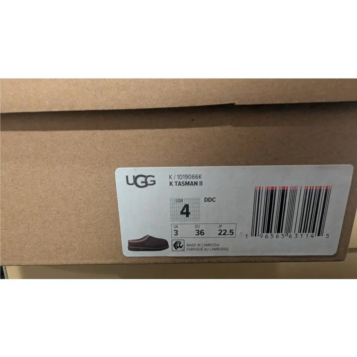 UGG shoes - dusted cocoa 5