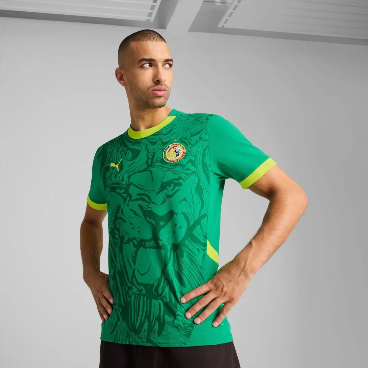 Puma clothing - Green 1