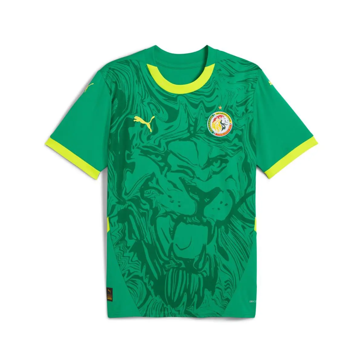 Puma clothing - Green 3