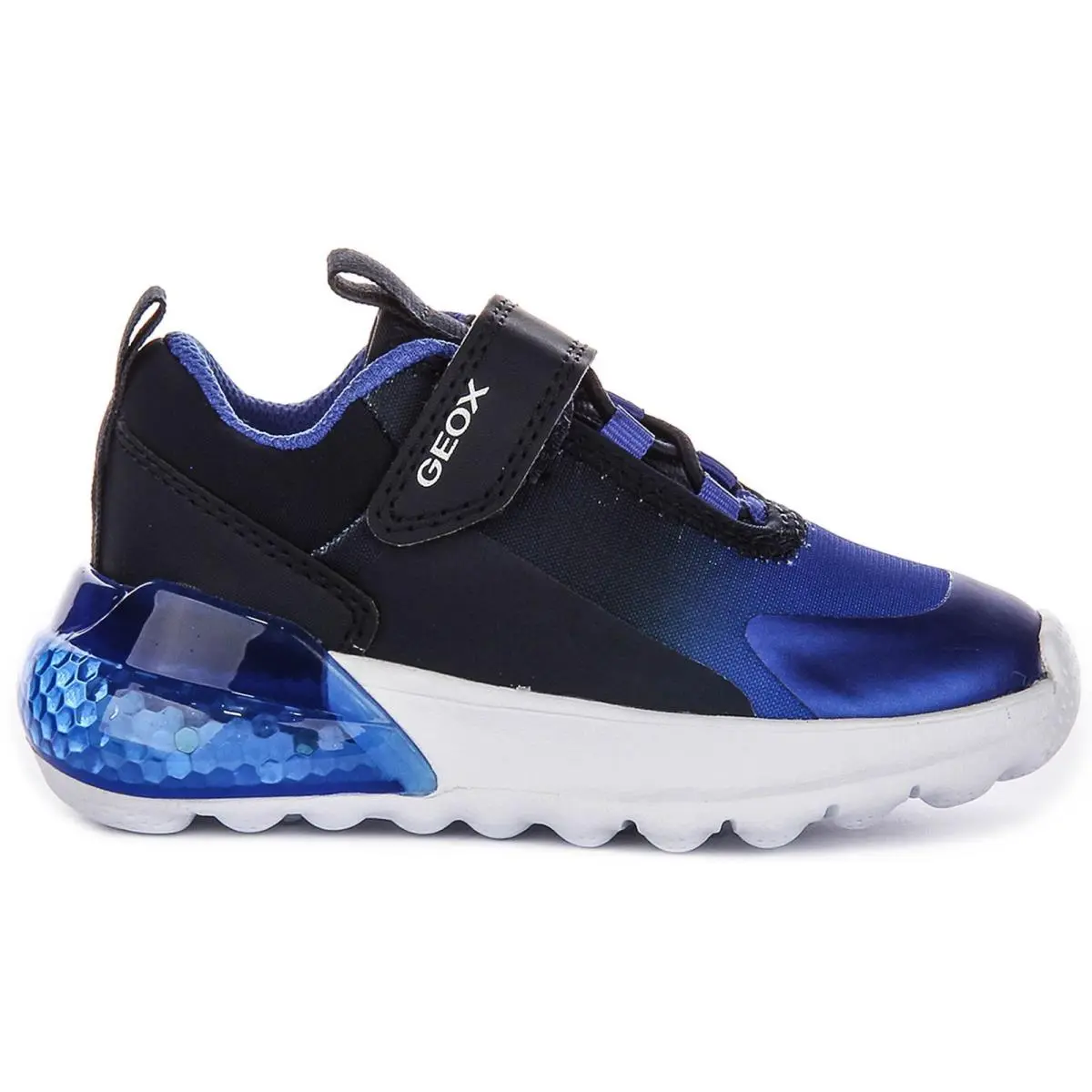 Geox shoes - Navy Blue 6