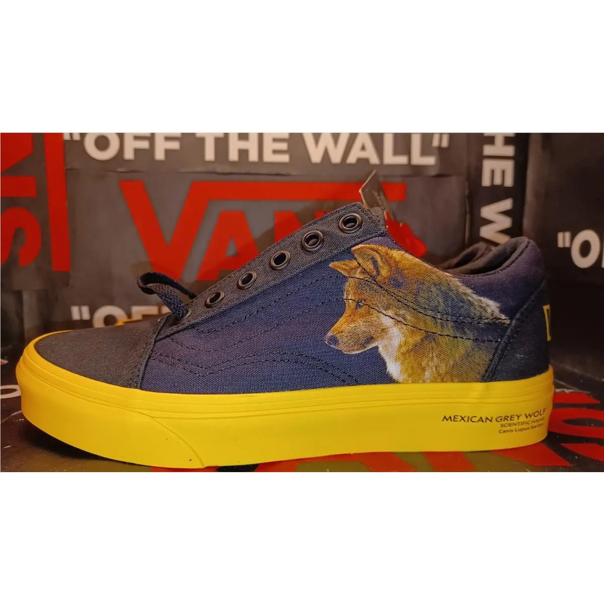 Vans shoes - Era - Era - VN0A4U3BWK6 - Blue 14