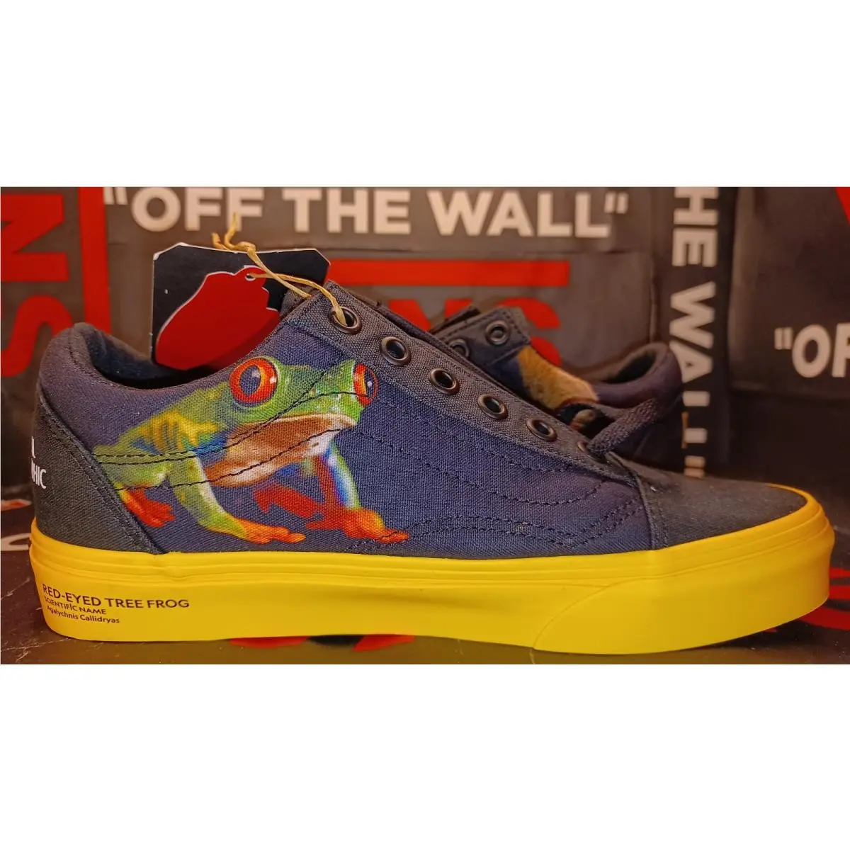Vans shoes - Era - Era - VN0A4U3BWK6 - Blue 16