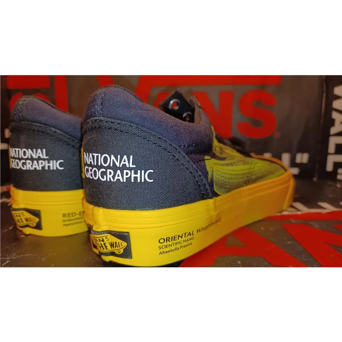 Vans shoes - Era - Era - VN0A4U3BWK6 - Blue 17