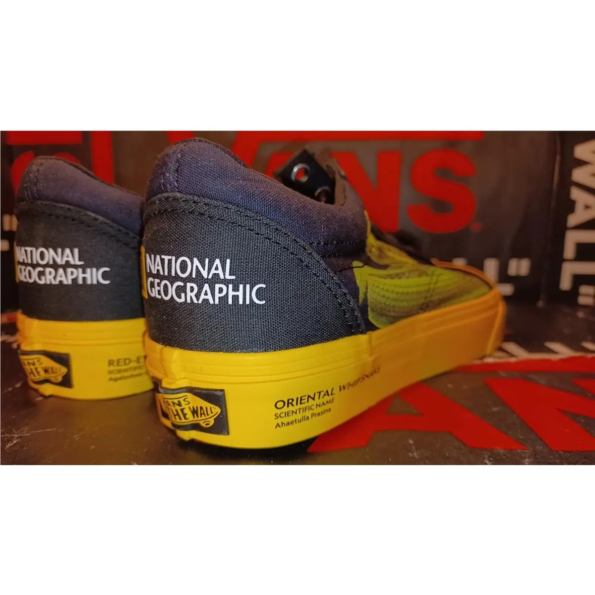 Vans shoes - Era - Era - VN0A4U3BWK6 - Blue 0