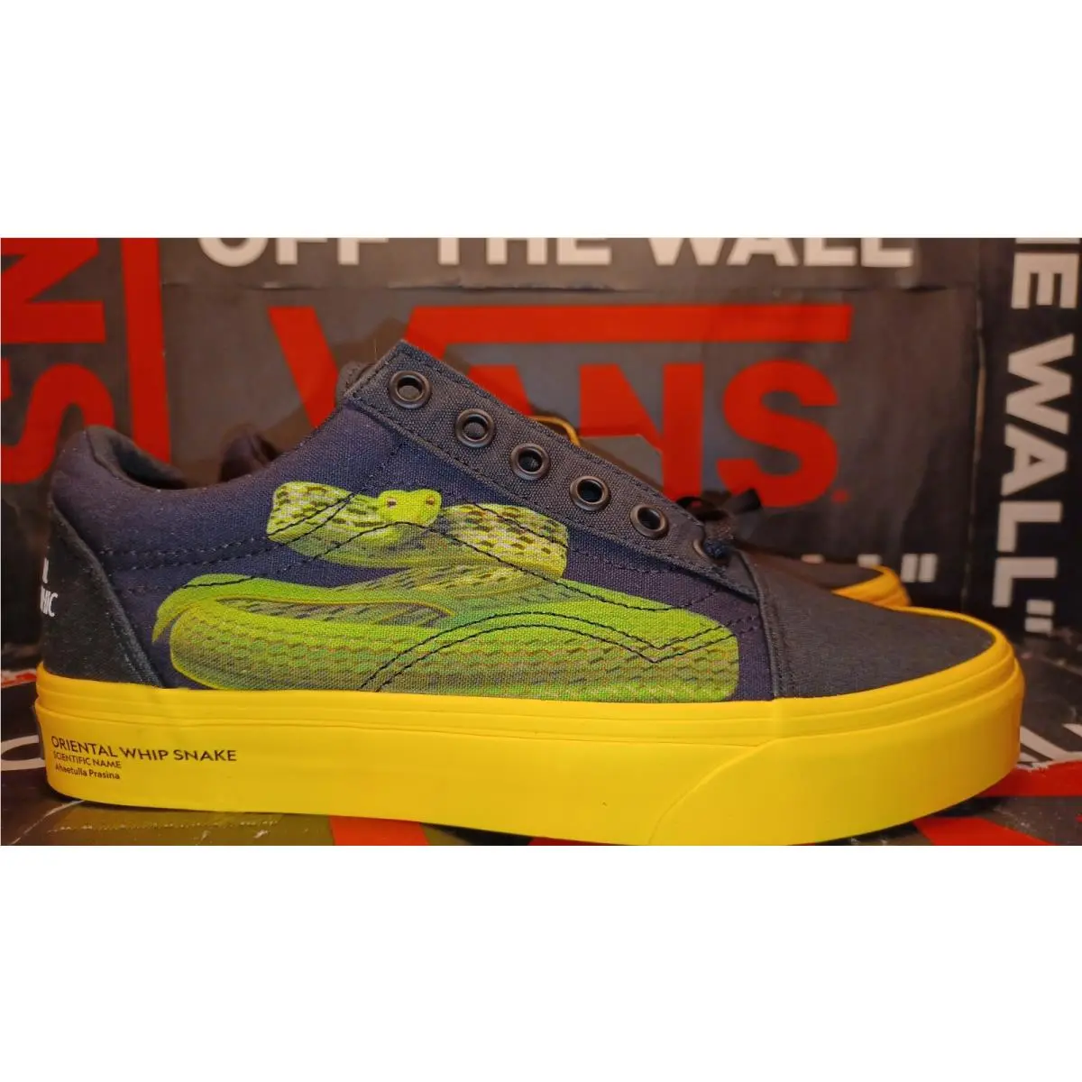 Vans shoes - Era - Era - VN0A4U3BWK6 - Blue 19
