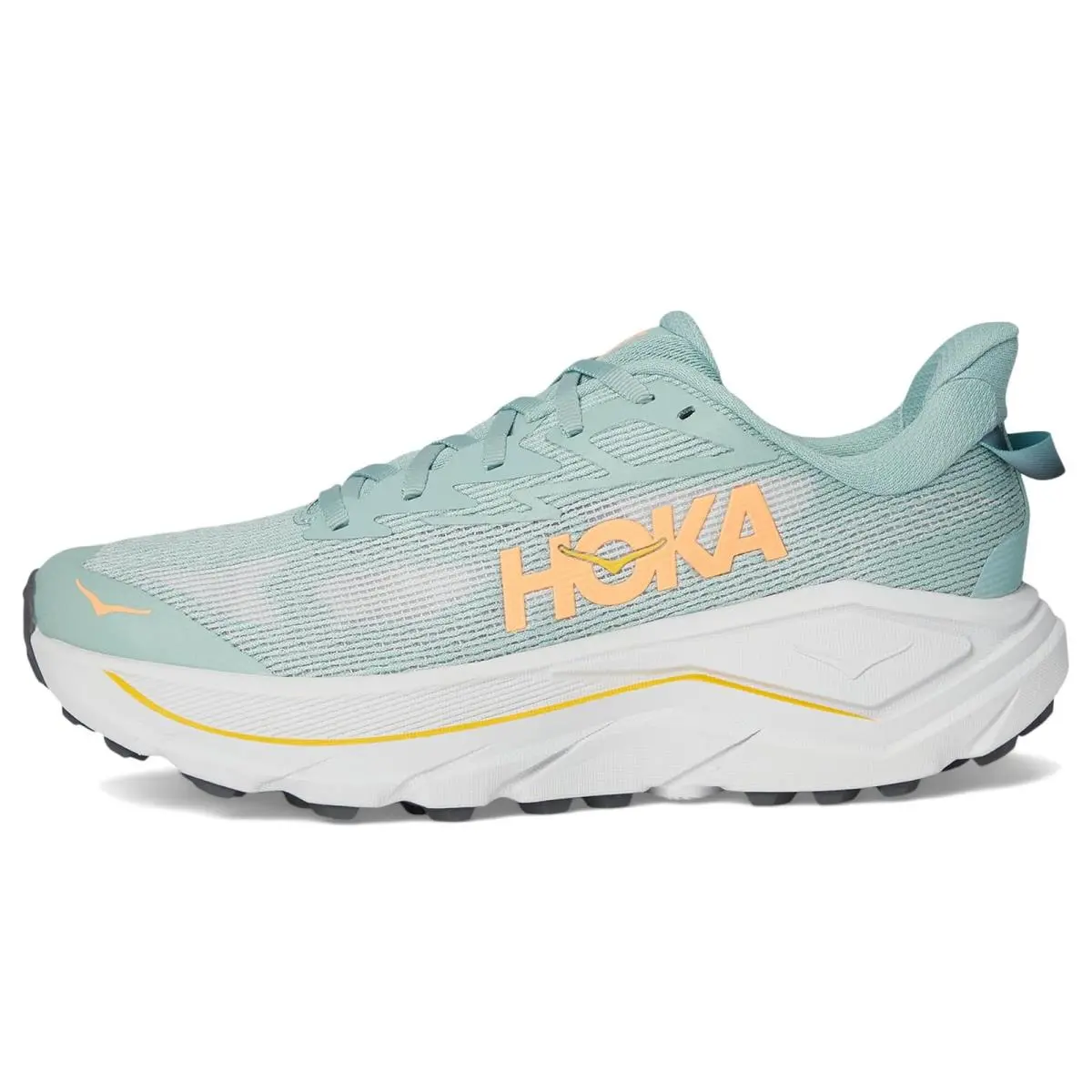 Hoka shoes - Blush/Dark Cedar 16