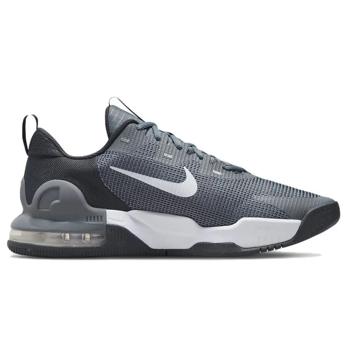 Nike shoes - Nike Air Max Alpha - Air Max Alpha - DM0829 003 - Gray 0
