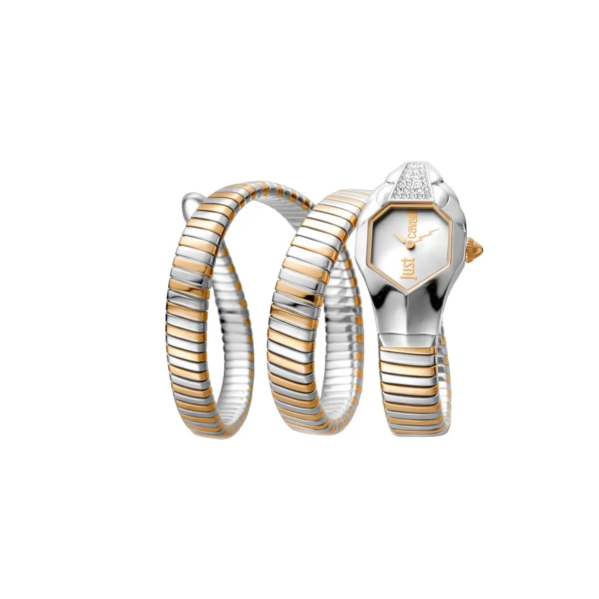 Women`s Snake Watch by Just Cavalli