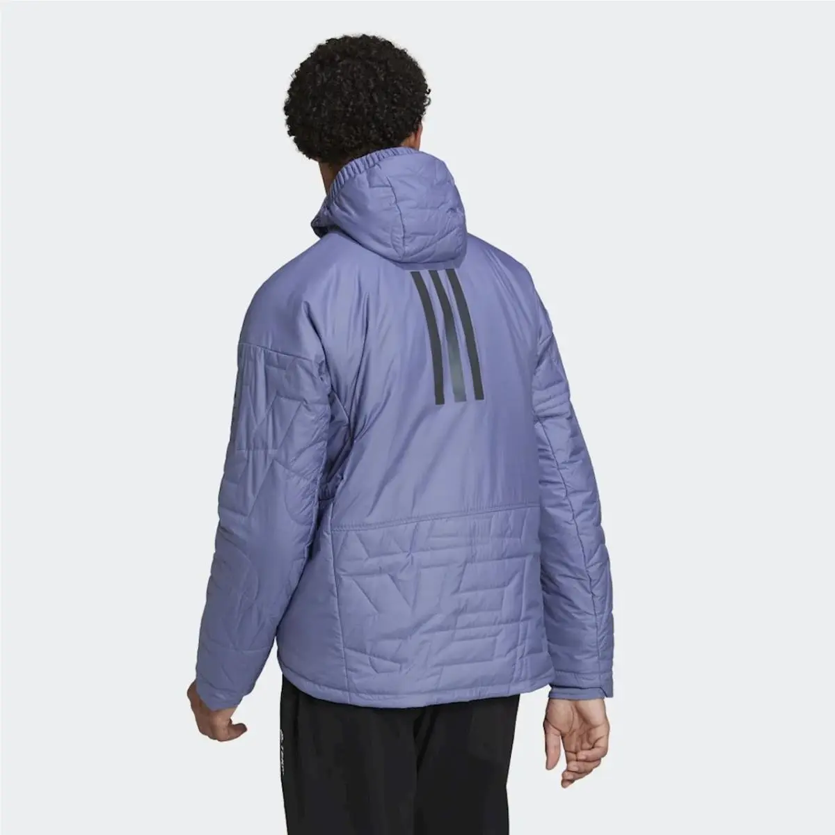 Adidas clothing - Adidas Terrex MYSHELTER - Terrex MYSHELTER - Purple (UPC: 194827416691) 2