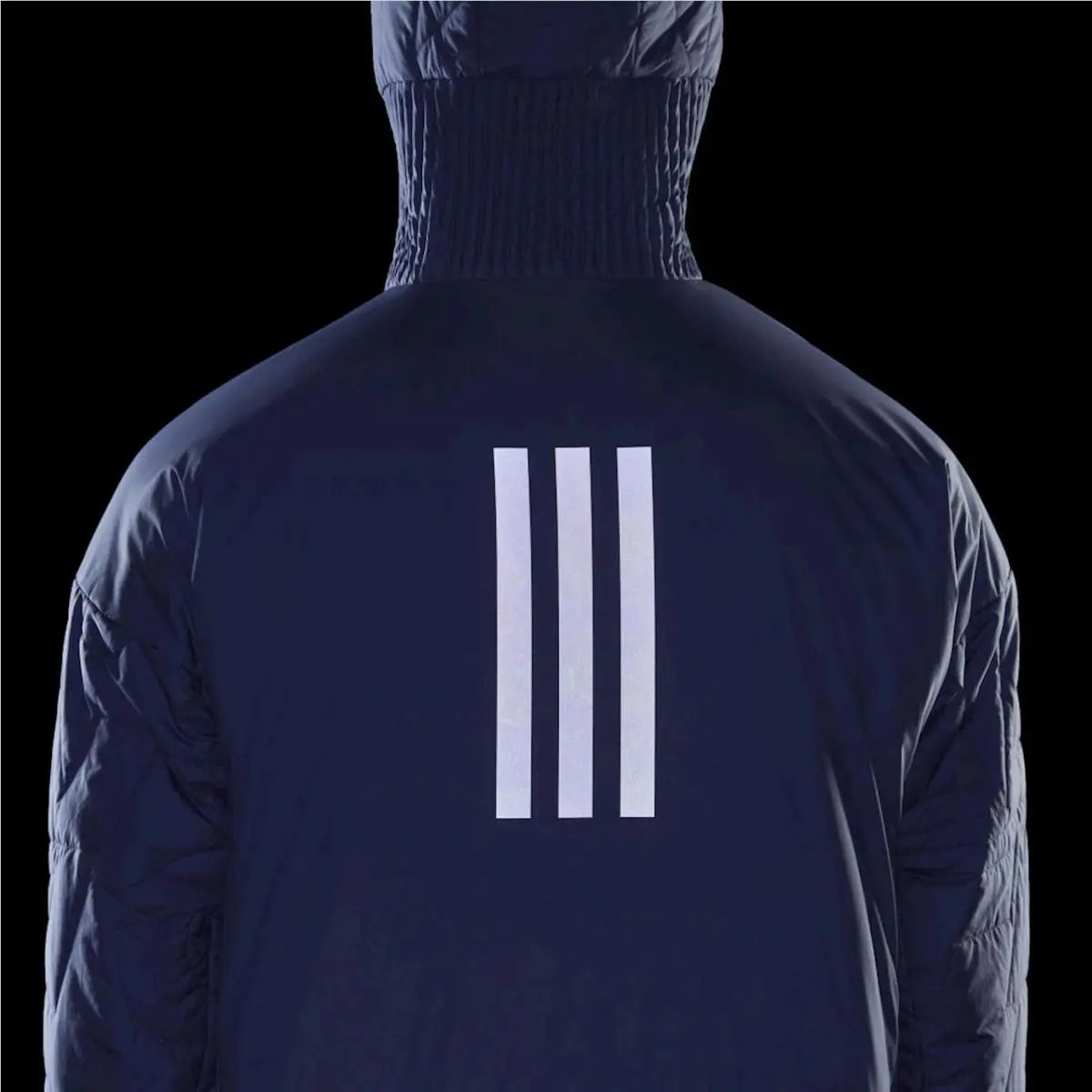Adidas clothing - Adidas Terrex MYSHELTER - Terrex MYSHELTER - Purple (UPC: 194827416691) 4