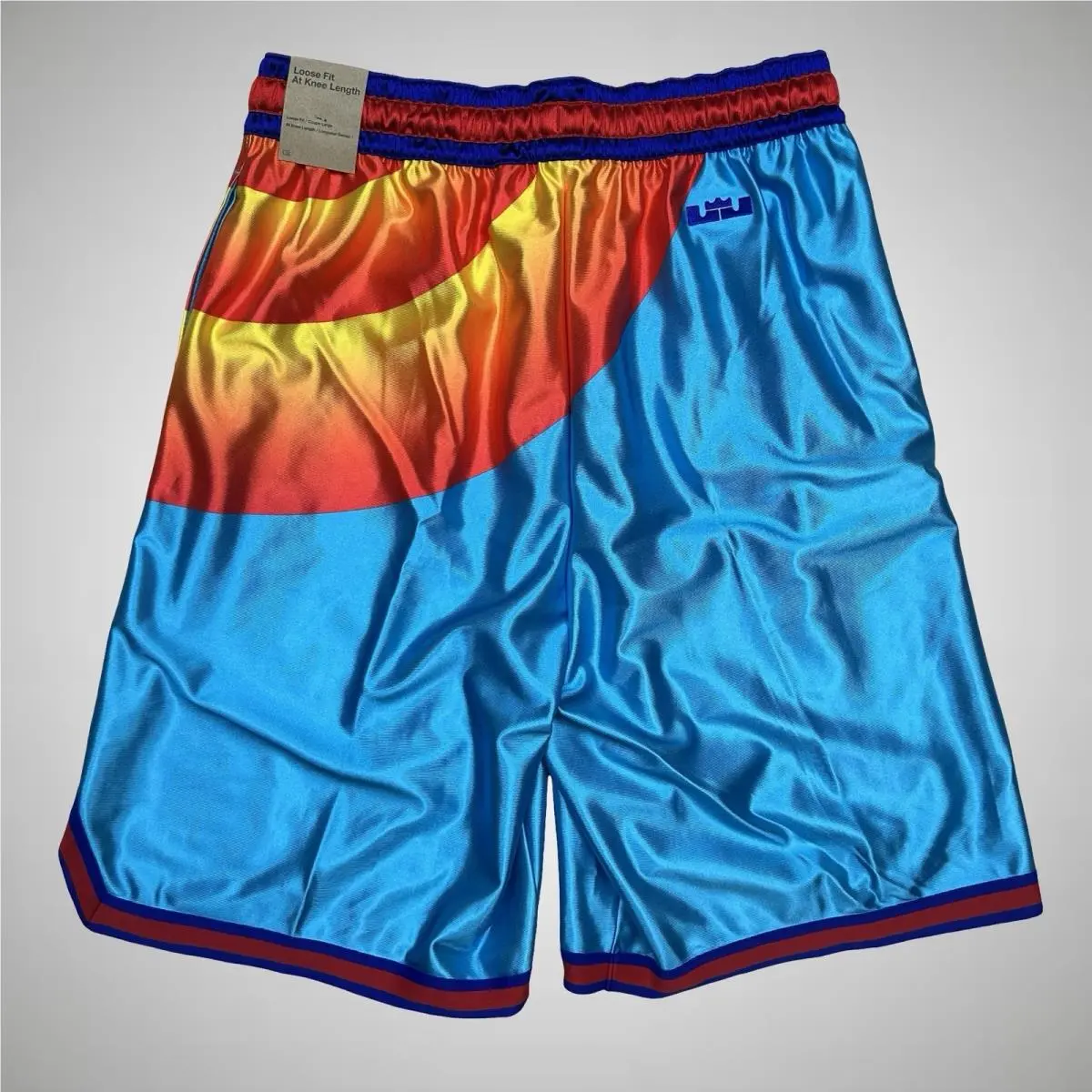 Nike clothing - Nike LeBron x Space Jam - DJ3869-434 - Multicolor 0