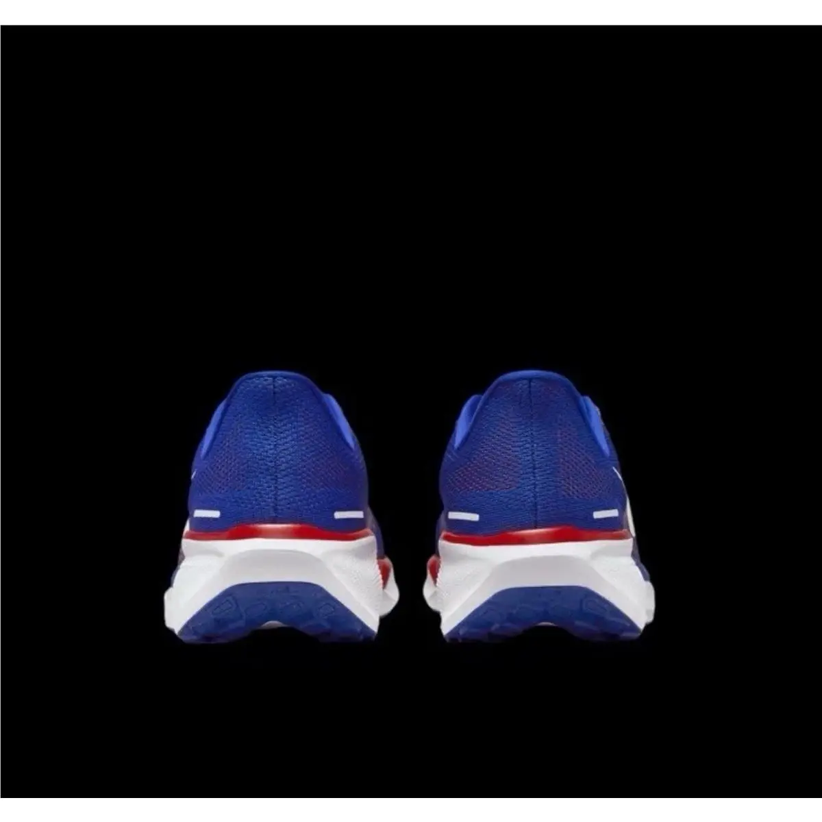 Nike shoes - Nike Air Zoom Pegasus 41 - FZ5074-400 - Blue, Red, White 1