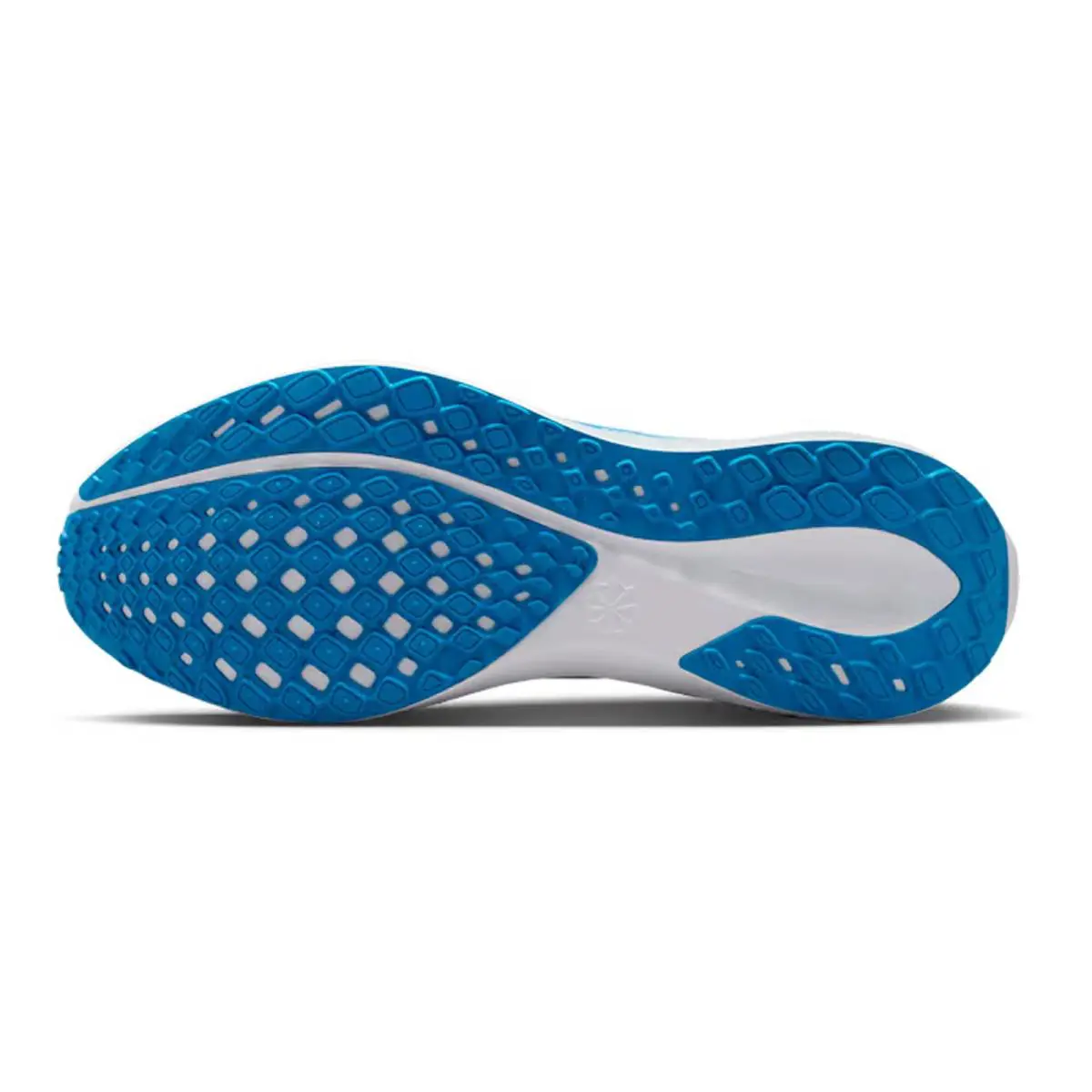 Nike shoes - Pegasus 41 UCLA - Pegasus UCLA - FZ5148 400 - Blue 1