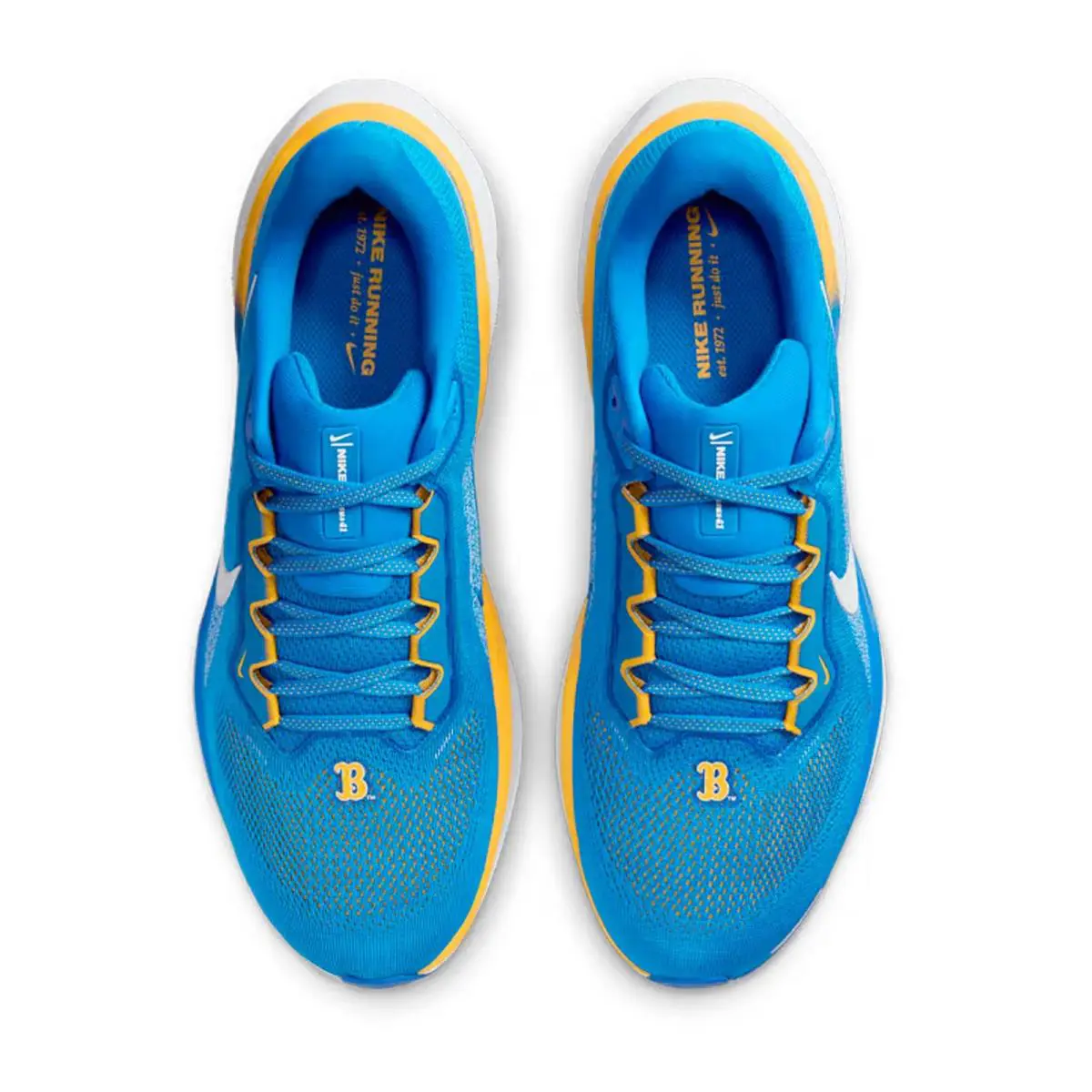 Nike shoes - Pegasus 41 UCLA - Pegasus UCLA - FZ5148 400 - Blue 2