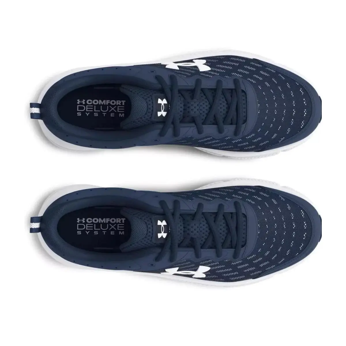 Under Armour shoes - Under Armour Charged Assert 10 - 3026175-400 - Blue/White 1