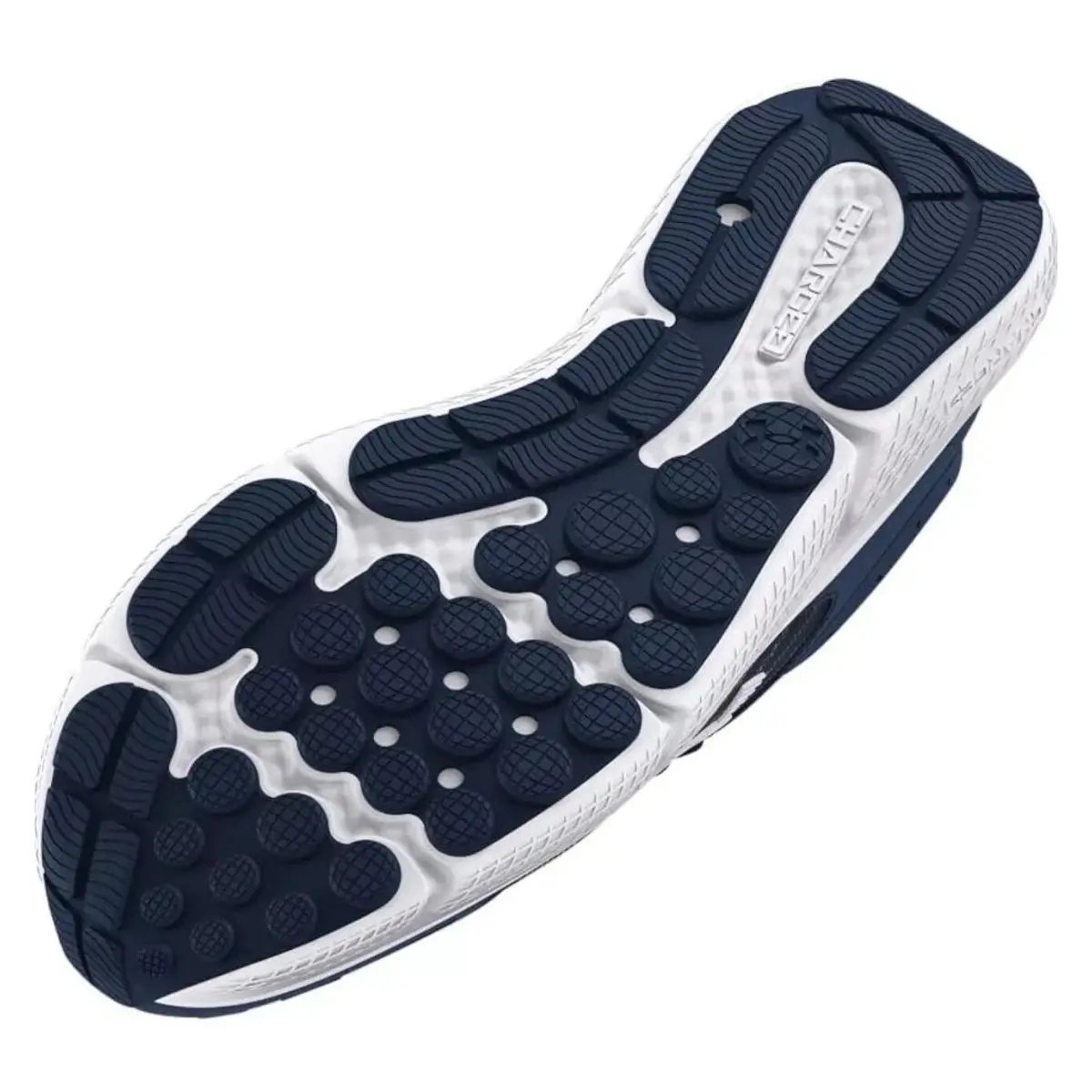 Under Armour shoes - Under Armour Charged Assert 10 - 3026175-400 - Blue/White 3