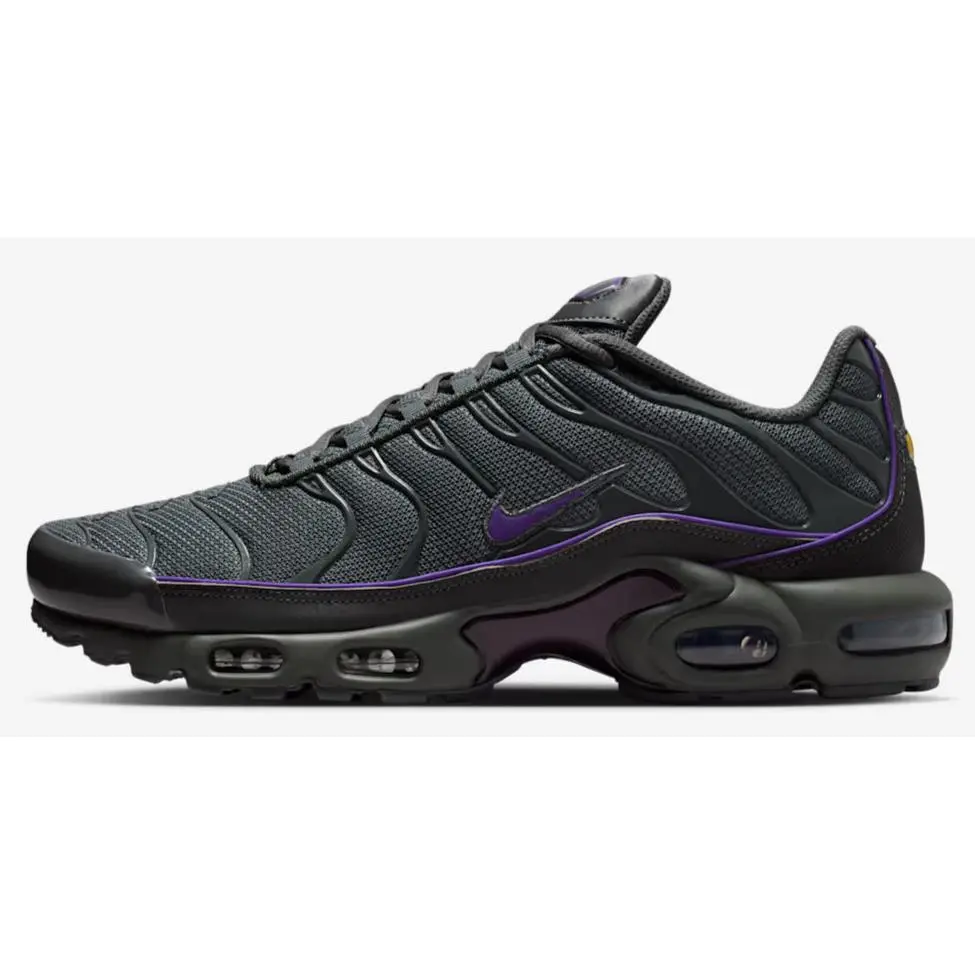 Nike shoes - Nike Air Max Plus - Air Max Plus - HV8066-001 - Iron Grey/Iron Grey/Wild Grape/Black 0
