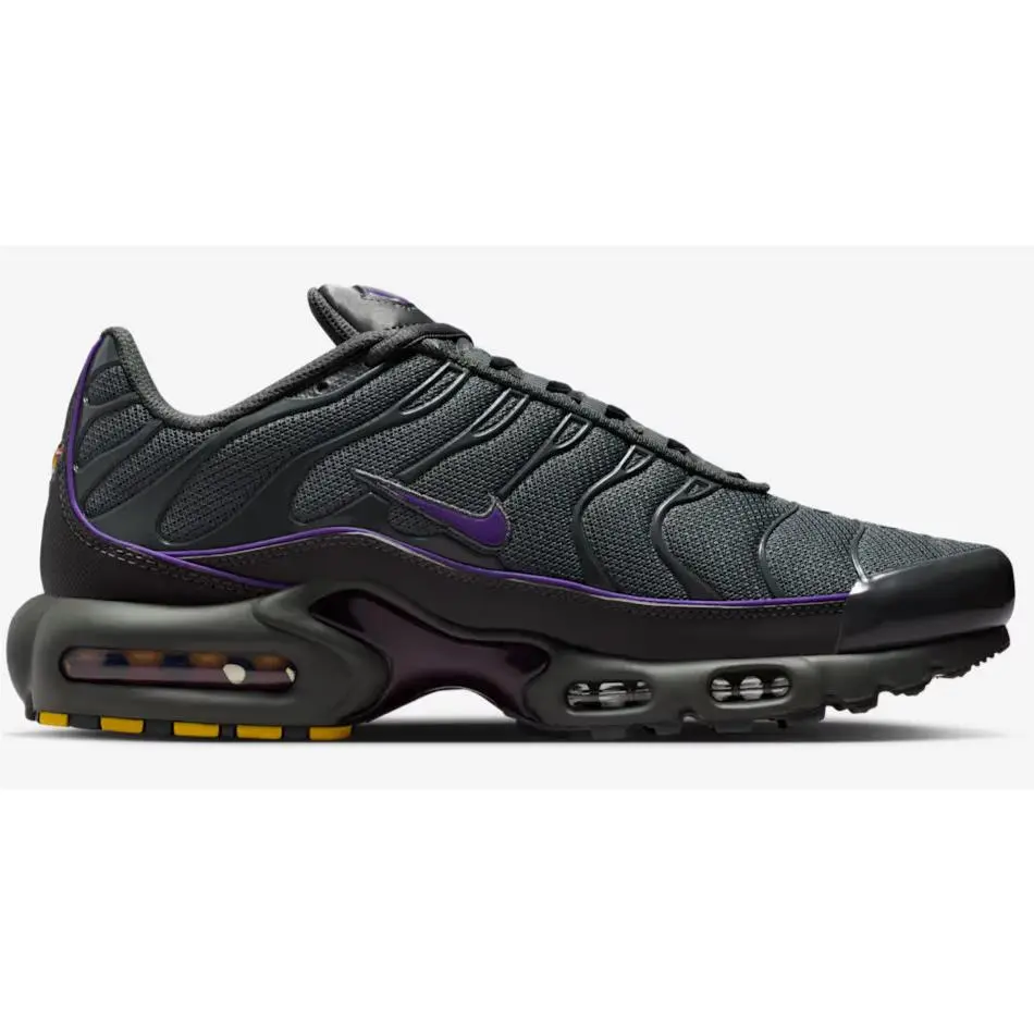 Nike shoes - Nike Air Max Plus - Air Max Plus - HV8066-001 - Iron Grey/Iron Grey/Wild Grape/Black 8