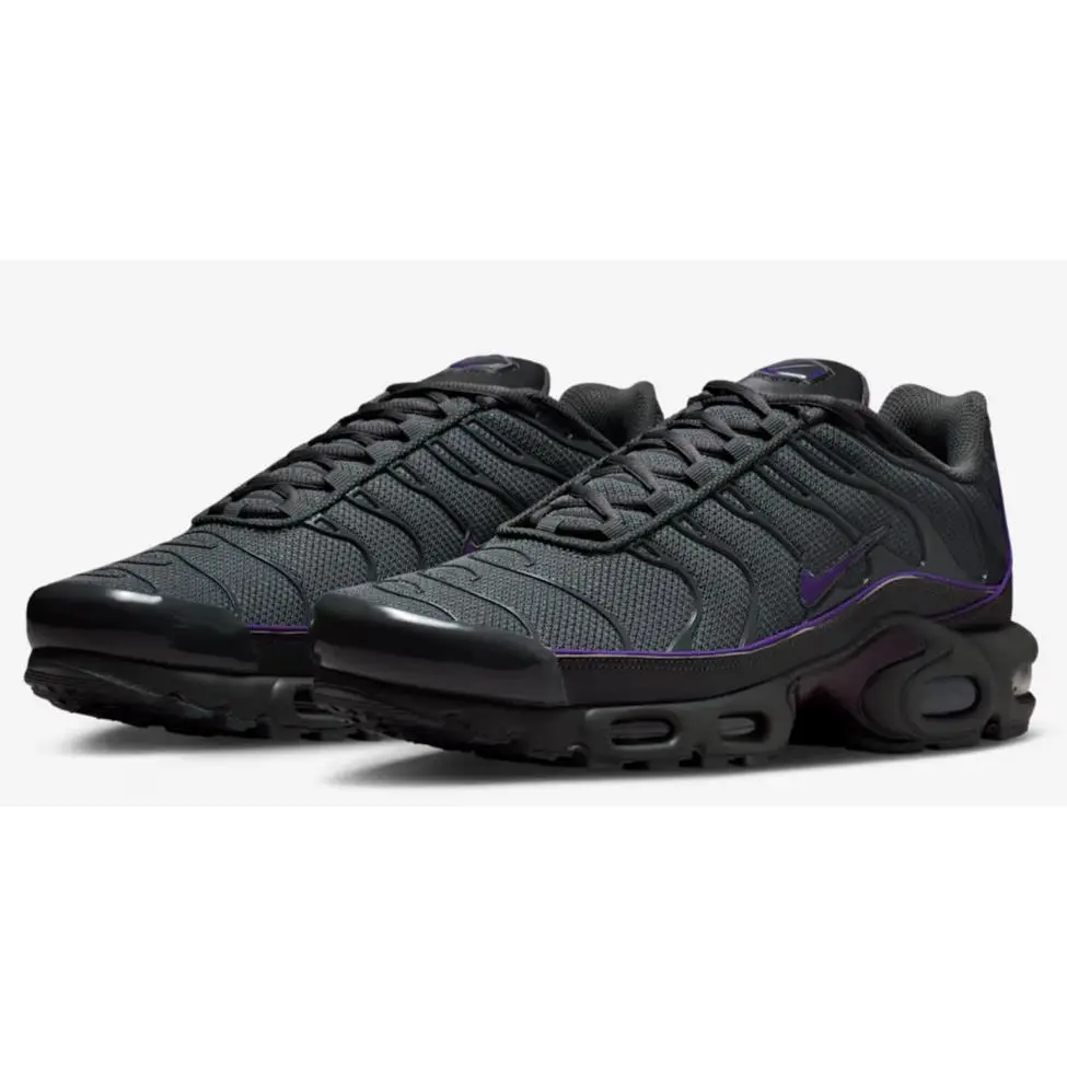 Nike shoes - Nike Air Max Plus - Air Max Plus - HV8066-001 - Iron Grey/Iron Grey/Wild Grape/Black 10