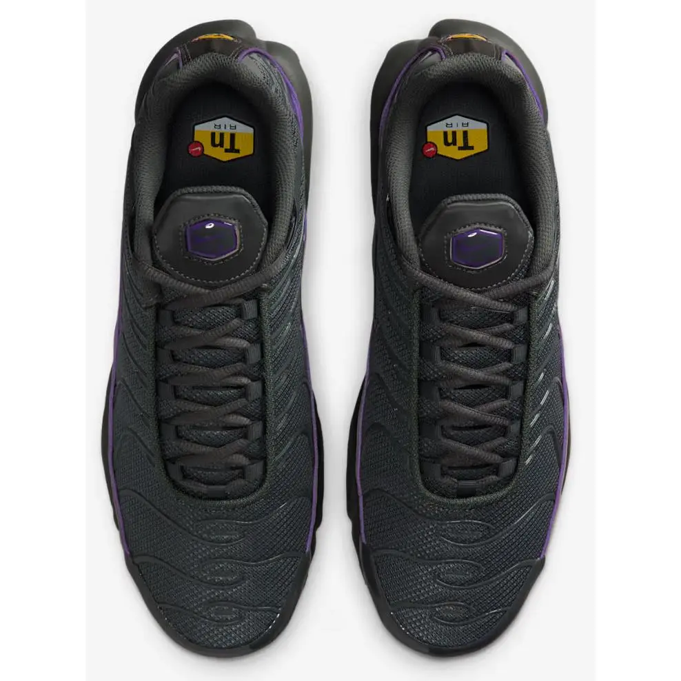 Nike shoes - Nike Air Max Plus - Air Max Plus - HV8066-001 - Iron Grey/Iron Grey/Wild Grape/Black 14