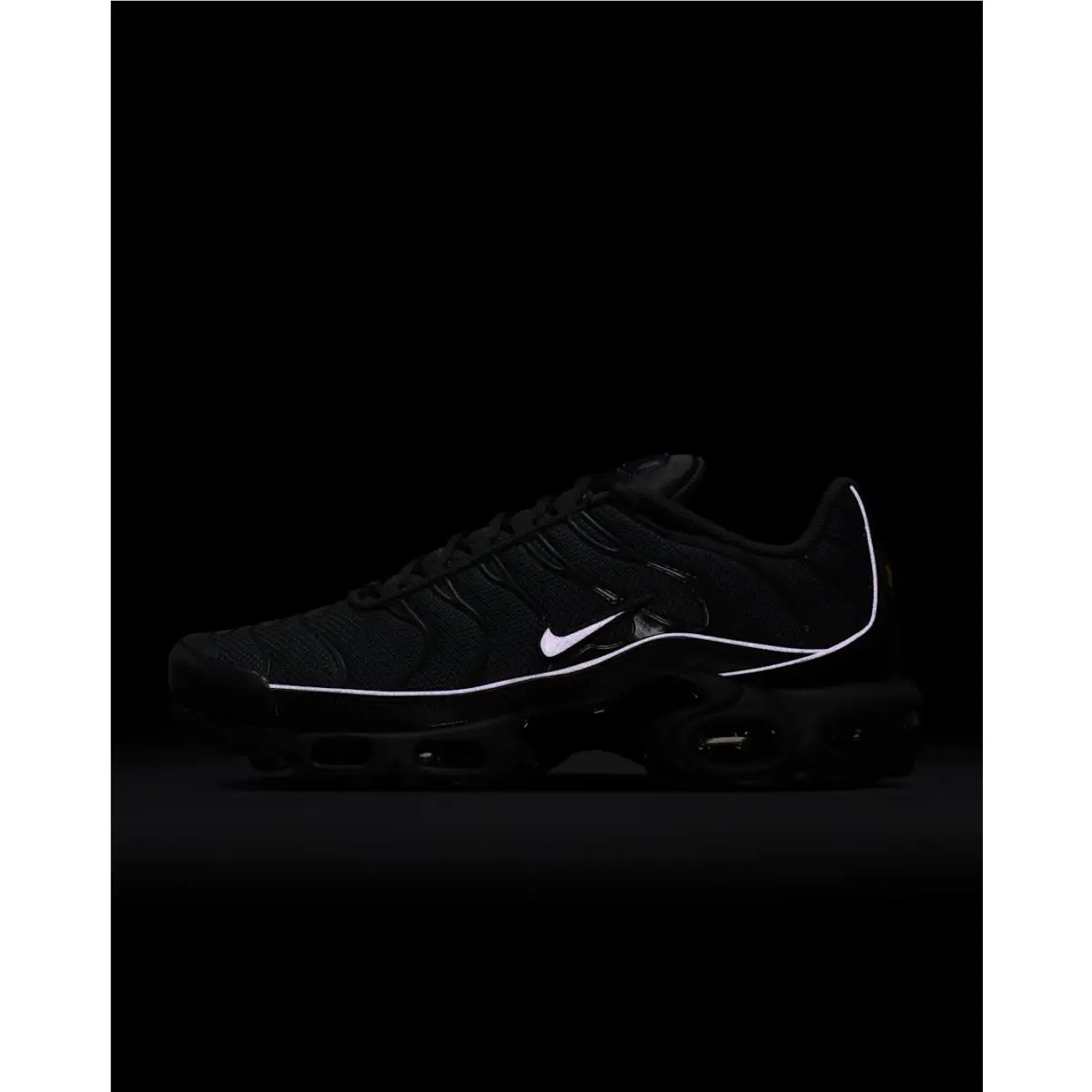 Nike shoes - Nike Air Max Plus - Air Max Plus - HV8066-001 - Iron Grey/Iron Grey/Wild Grape/Black 6